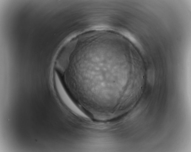 X0000088631229200706011139