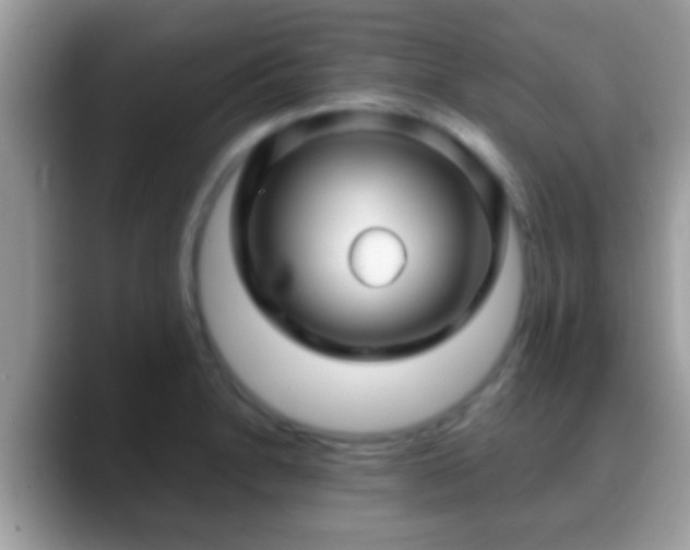 X0000088631230200706011139