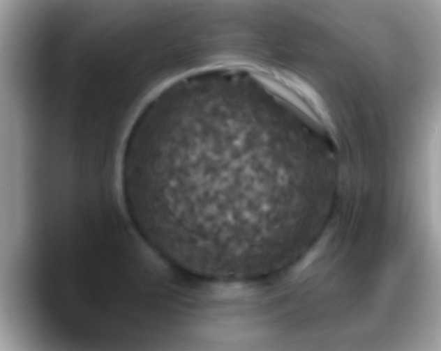 X0000088631231200706011139