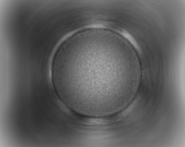 X0000088631232200706011139