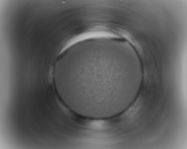 X0000088631233200706011139