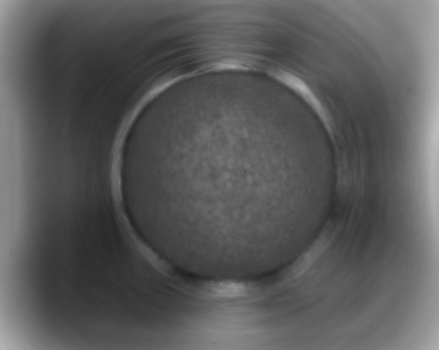 X0000088631235200706011139