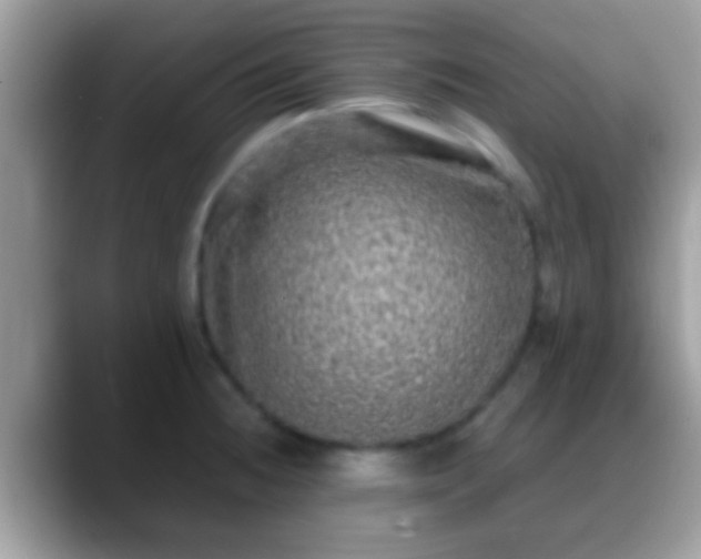 X0000088631236200706011139