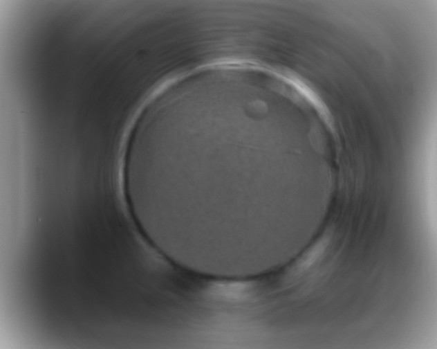 X0000088631237200706011139