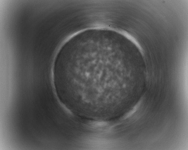 X0000088631239200706011139