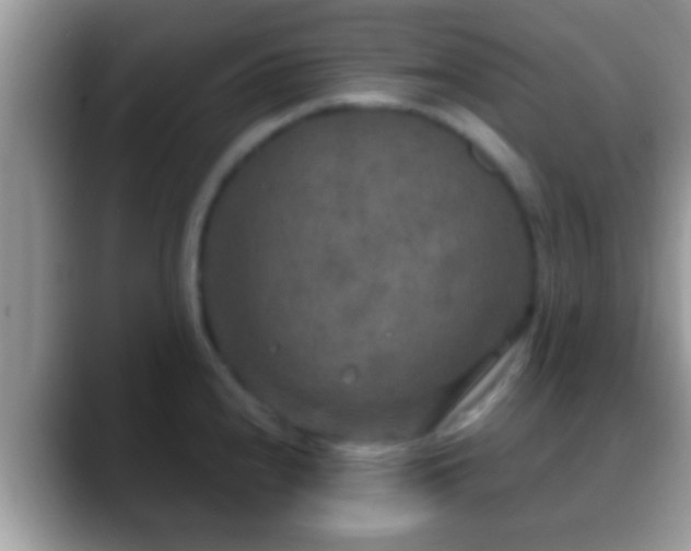 X0000088631240200706011139