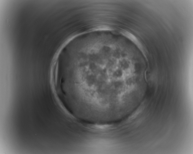 X0000088631243200706011139