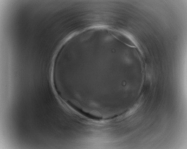 X0000088631245200706011139