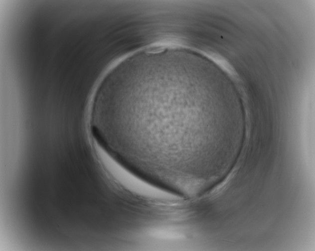 X0000088631248200706011139