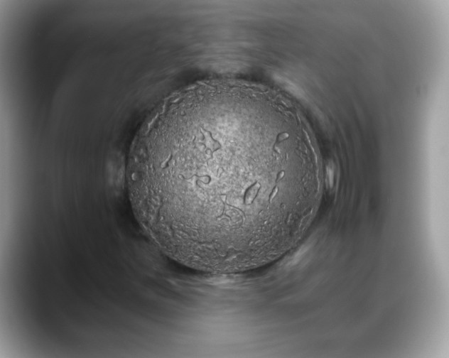 X0000088631251200706011138