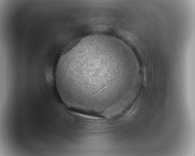 X0000088631252200706011138