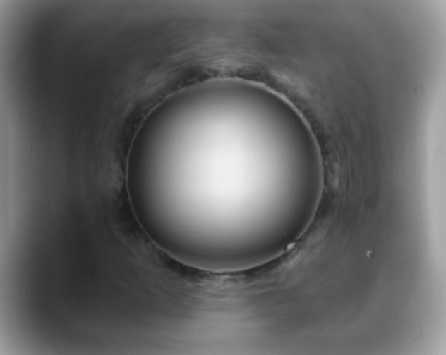 X0000088631253200706011138