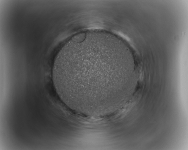 X0000088631255200706011138