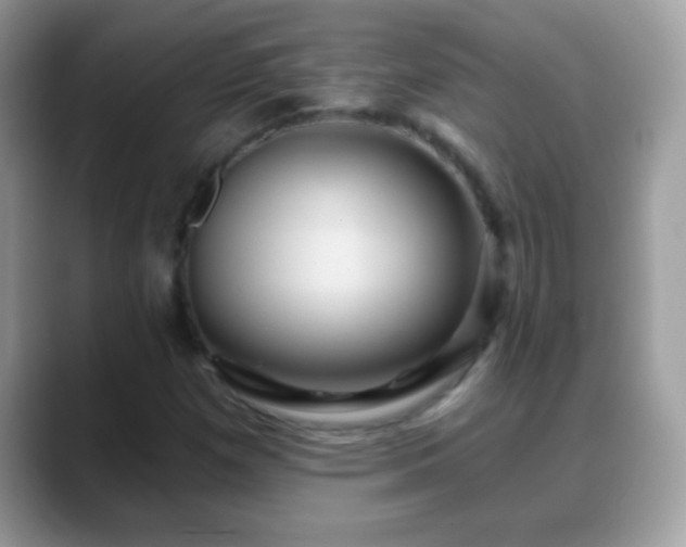 X0000088631257200706011138