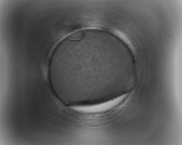 X0000088631260200706011138