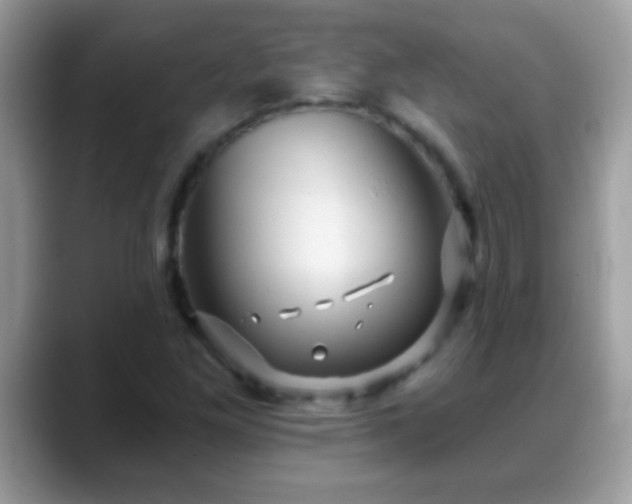 X0000088631261200706011138