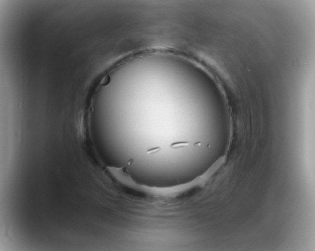 X0000088631262200706011138