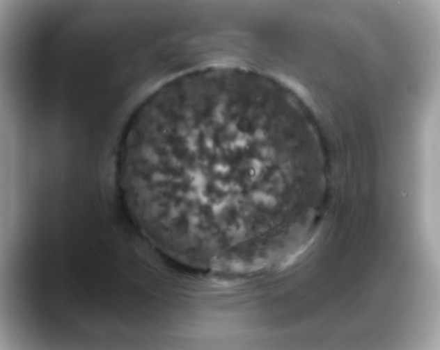 X0000088631263200706011138