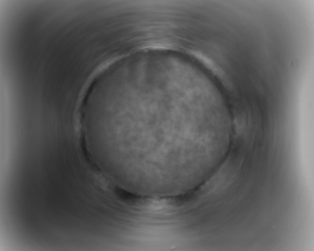 X0000088631266200706011138