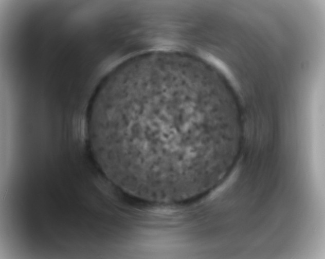 X0000088631267200706011138