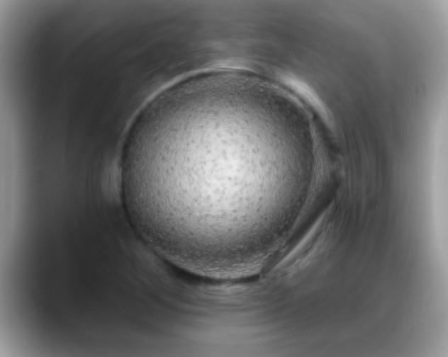 X0000088631268200706011138