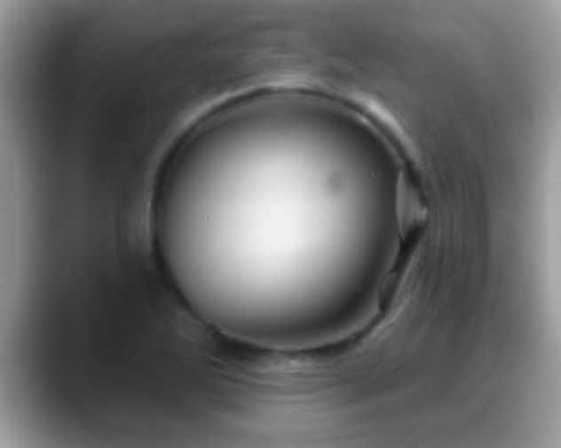 X0000088631270200706011138