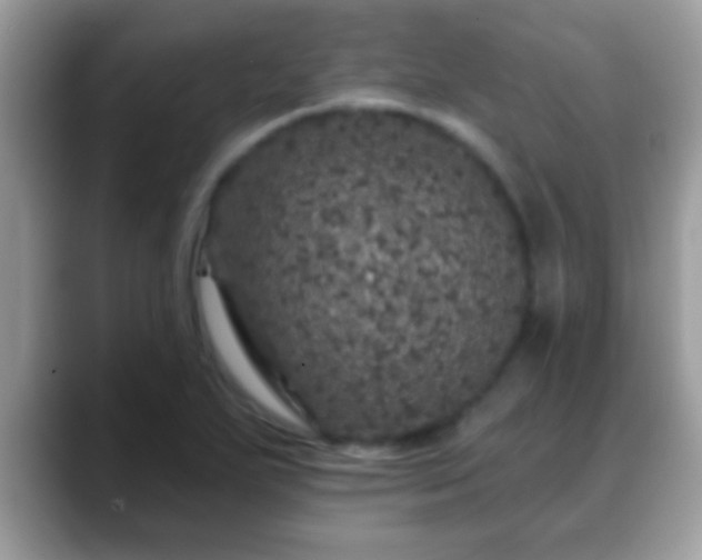 X0000088631271200706011138