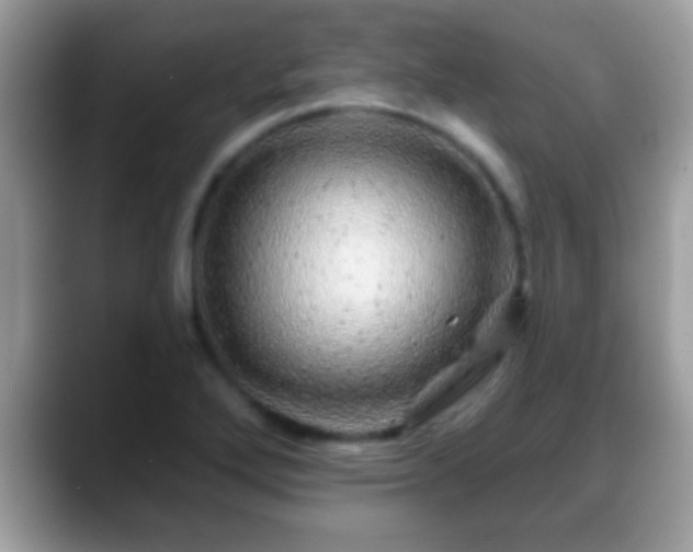 X0000088631272200706011138