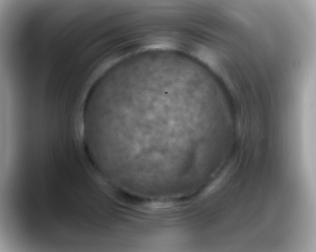 X0000088631274200706011138