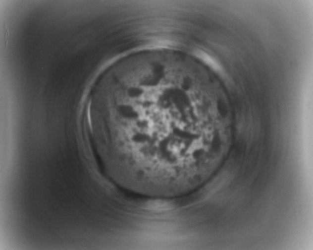 X0000088631275200706011138