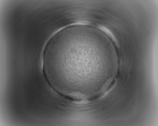 X0000088631276200706011138