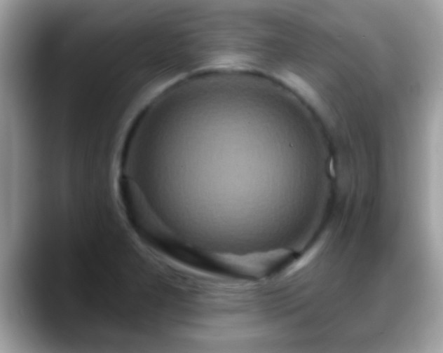 X0000088631277200706011138