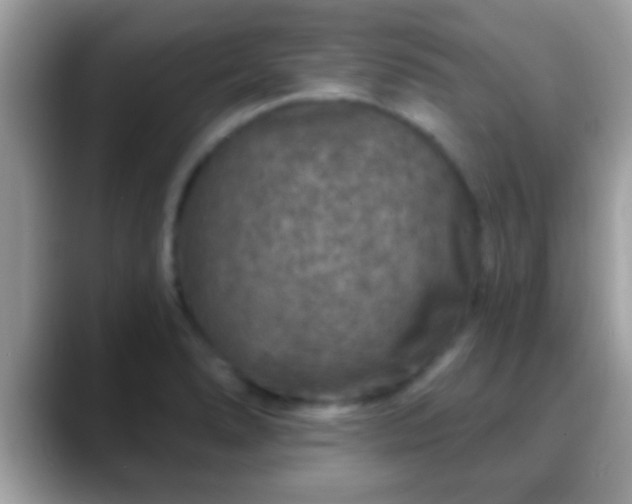 X0000088631278200706011138