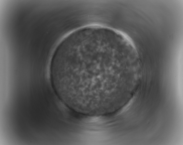 X0000088631279200706011138