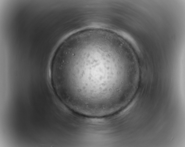 X0000088631280200706011138