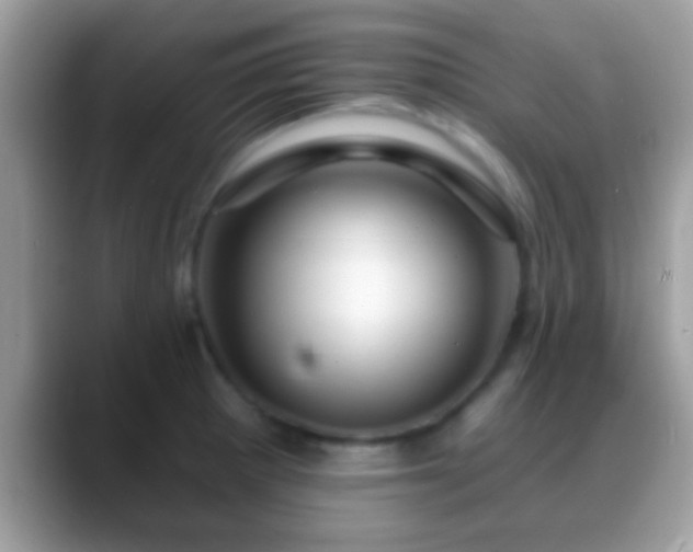 X0000088631281200706011138