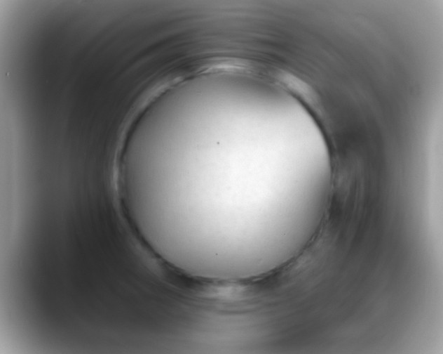 X0000088631282200706011138