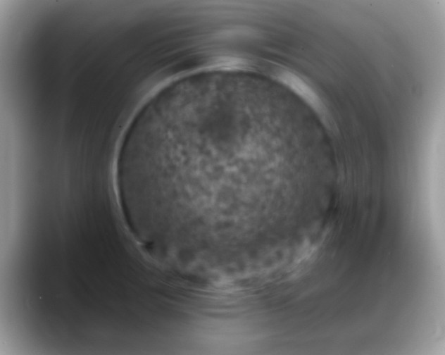 X0000088631283200706011138