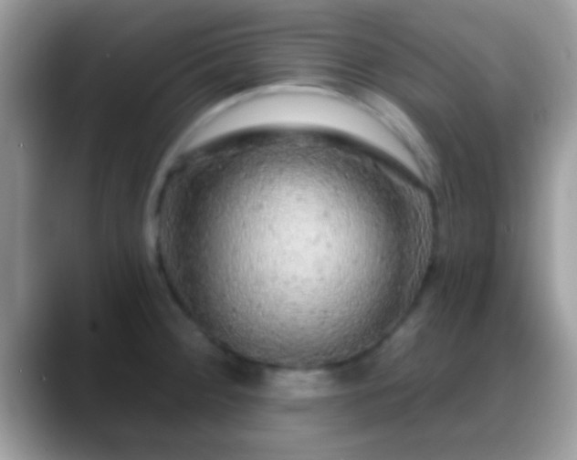 X0000088631284200706011138