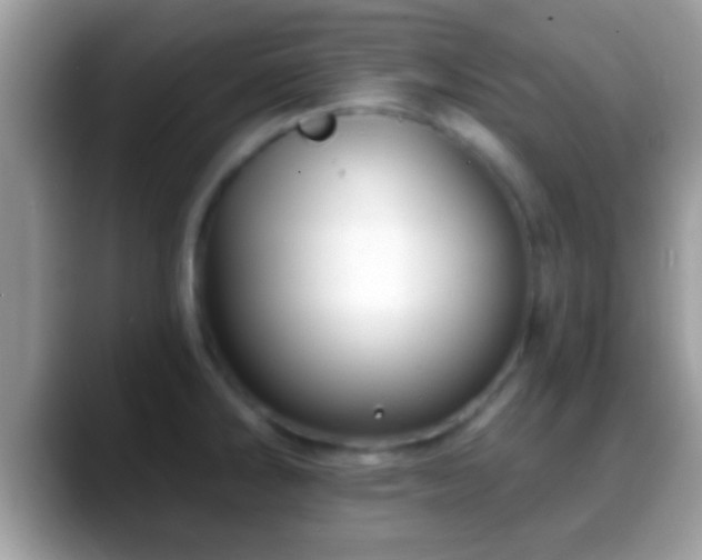 X0000088631286200706011138