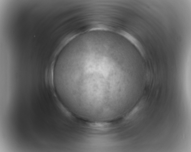 X0000088631290200706011138