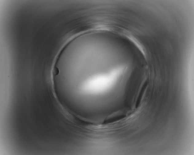 X0000088631291200706011138