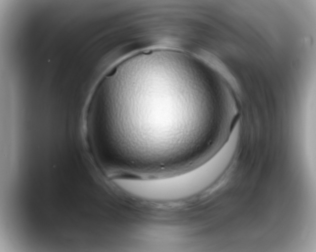 X0000088631292200706011138