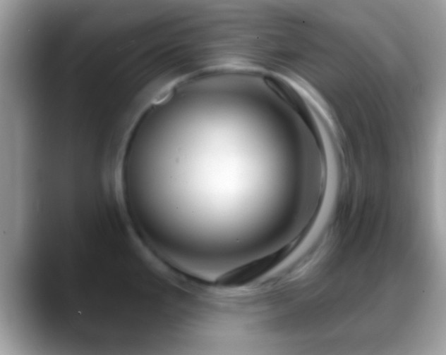 X0000088631293200706011138