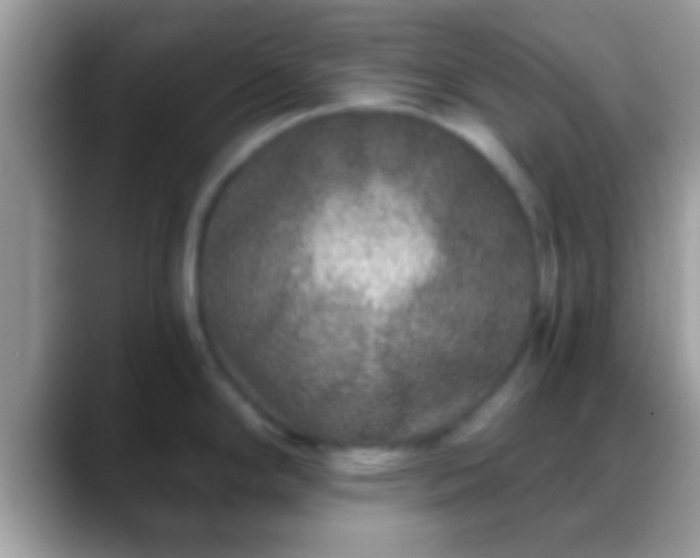 X0000088631294200706011138