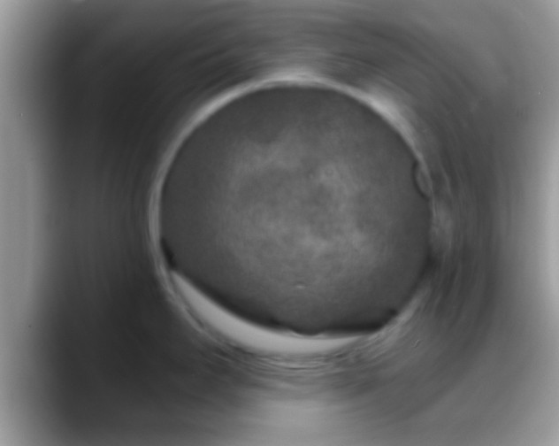 X0000088631295200706011138