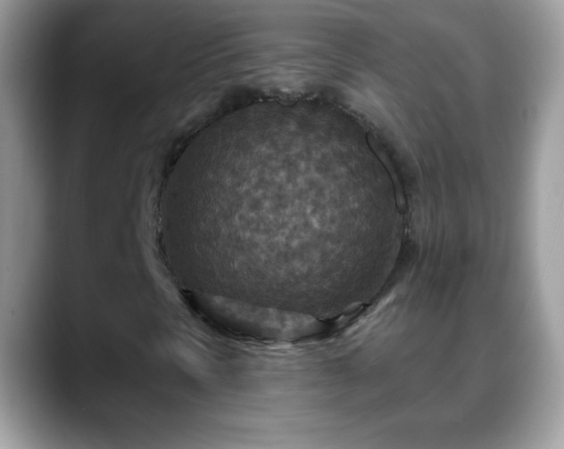 X0000088631297200706011137