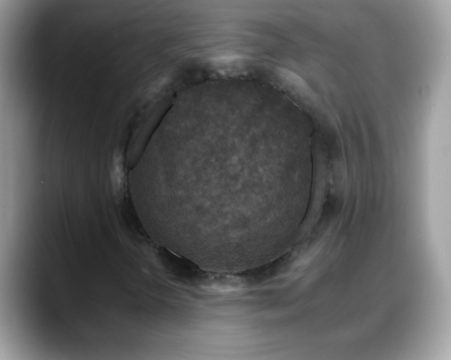 X0000088631298200706011137