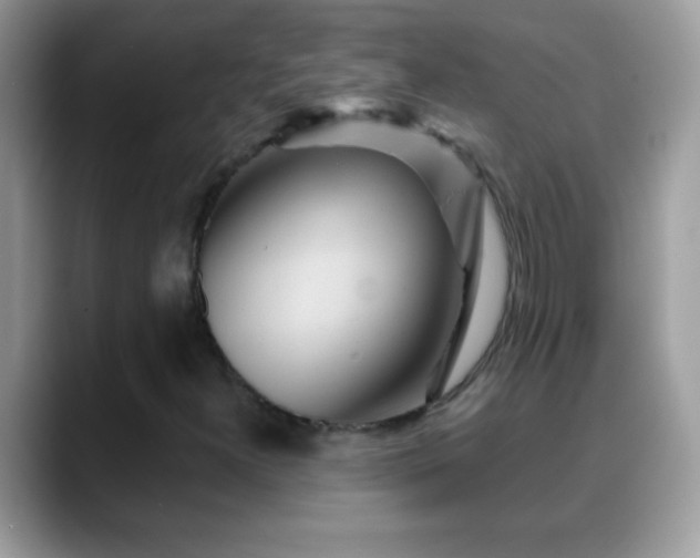 X0000088631300200706011137