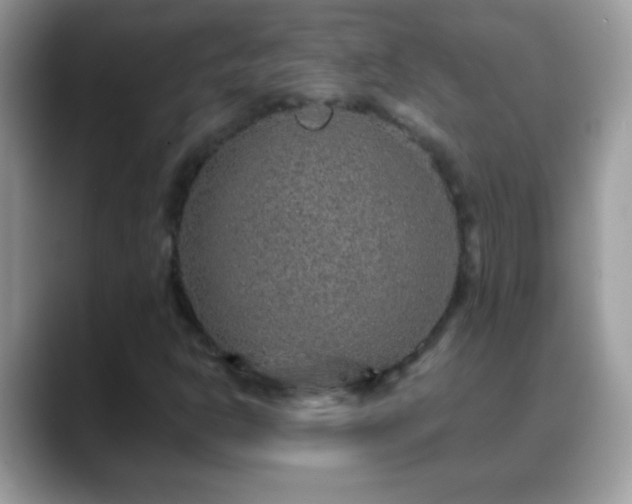 X0000088631302200706011137